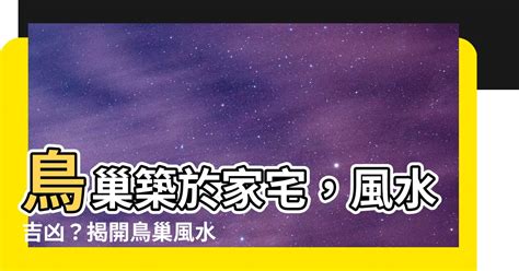 鳥築巢 風水|鳥巢風水：居家好運密碼